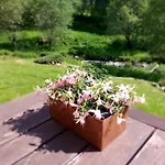 Сasa de vacaciones Wellness Rosnatka Kvilda