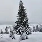 Сasa de vacaciones Wellness Rosnatka Kvilda