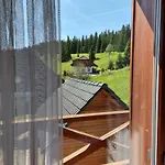 Wellness Rosnatka *