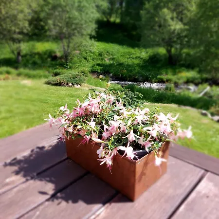 Ferienhaus Wellness Chata Rosnatka Kvilda